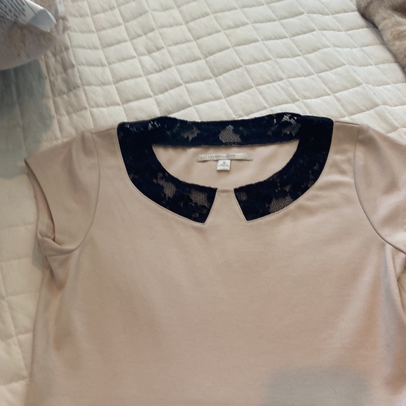 Lauren Conrad cream with black lace collar size 10- like new - Picture 4 of 7